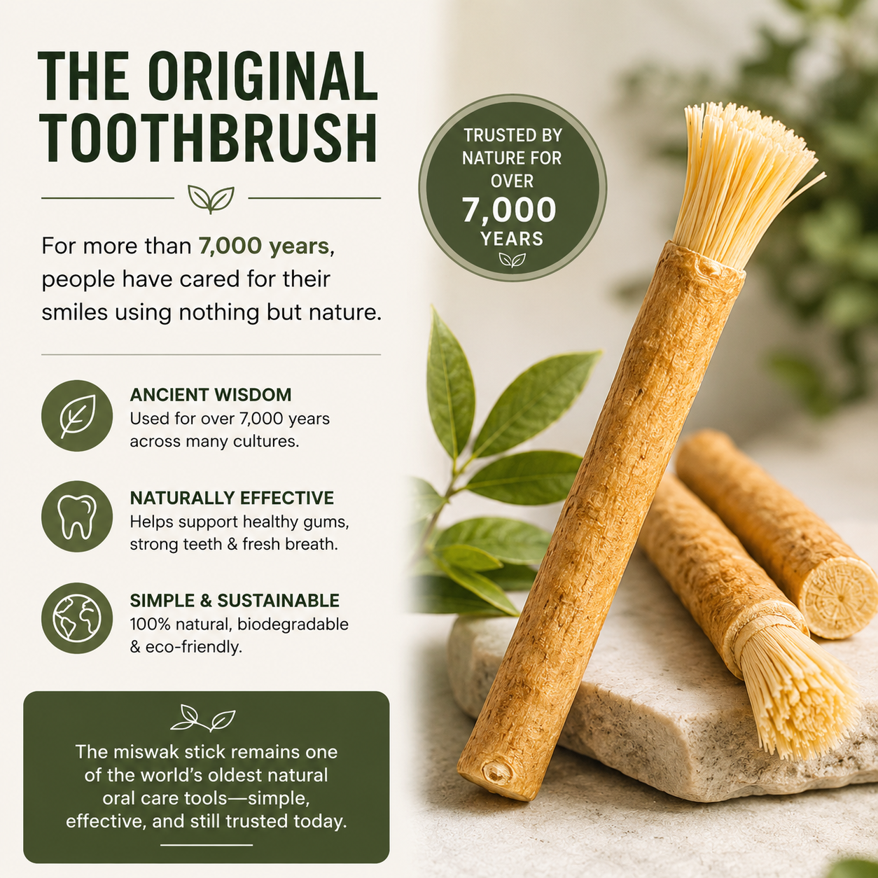SmileVex™ Premium Miswak